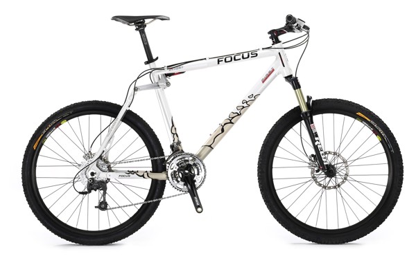 Focus  First Expert